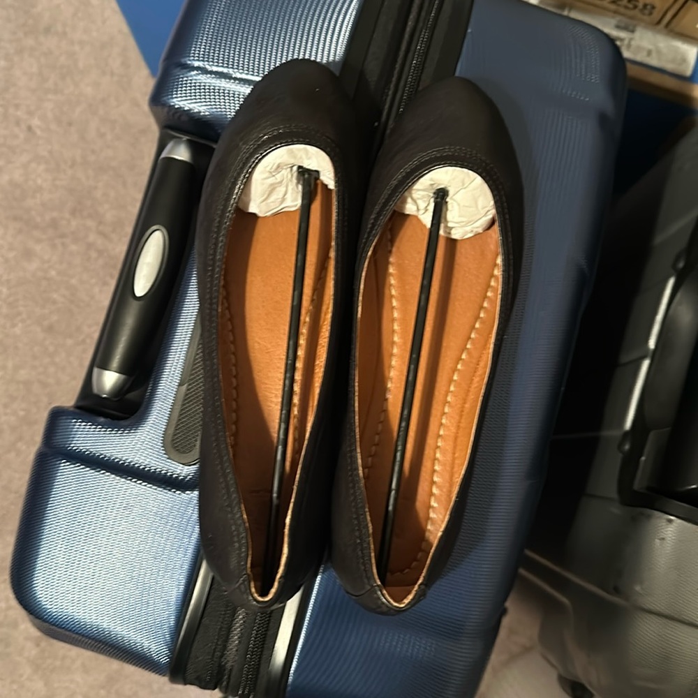 Frye ballet slippers, size 10.